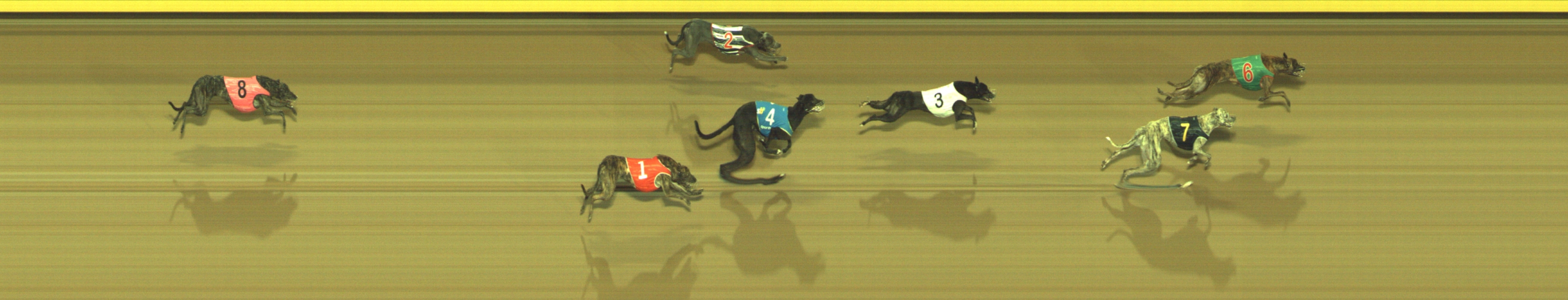 Race result finish photo